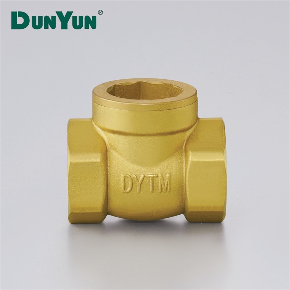 Brass One-Way Check Valve With Filter Mesh factory