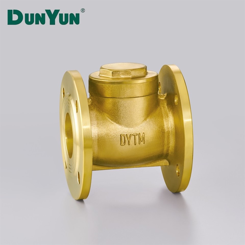 Brass One-Way Check Valve With Filter Mesh high quality