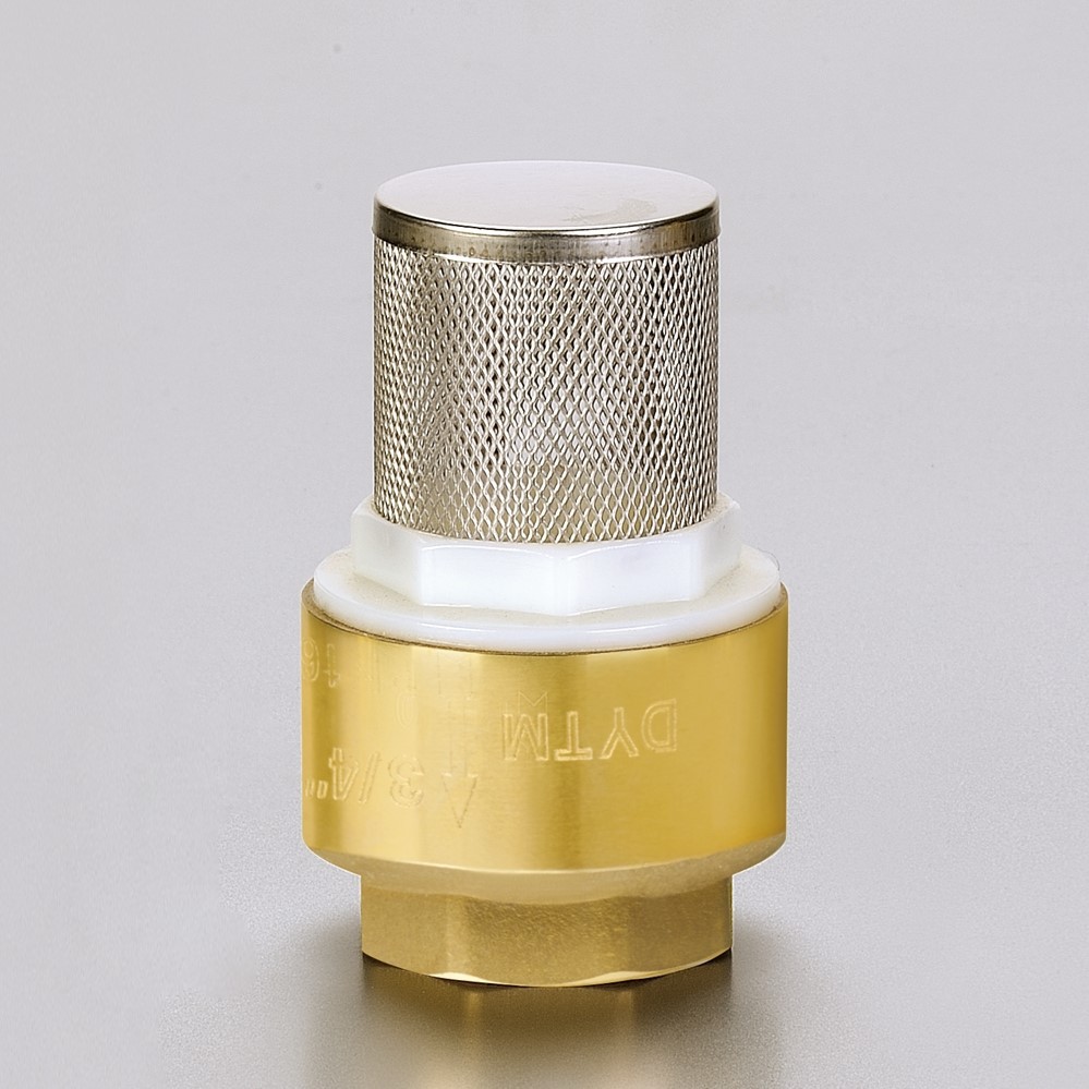 502-1- Zhuji Factory Zhejiang China Female Brass One-Way Check Valve with Water Pressure Filter Mesh for Water Purification Systems