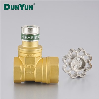 Brass Magnetic Lockable Check Gate Valve