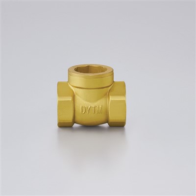 Check Valve Check Valve