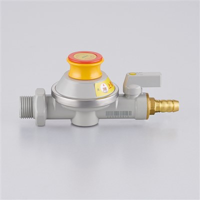 Smart Gas Shut Off Valve